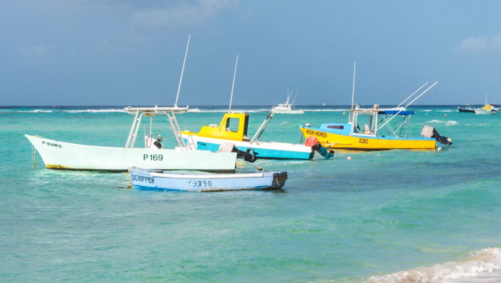 A Barbados vacation will have you awestruck by just how blue the waters are. 