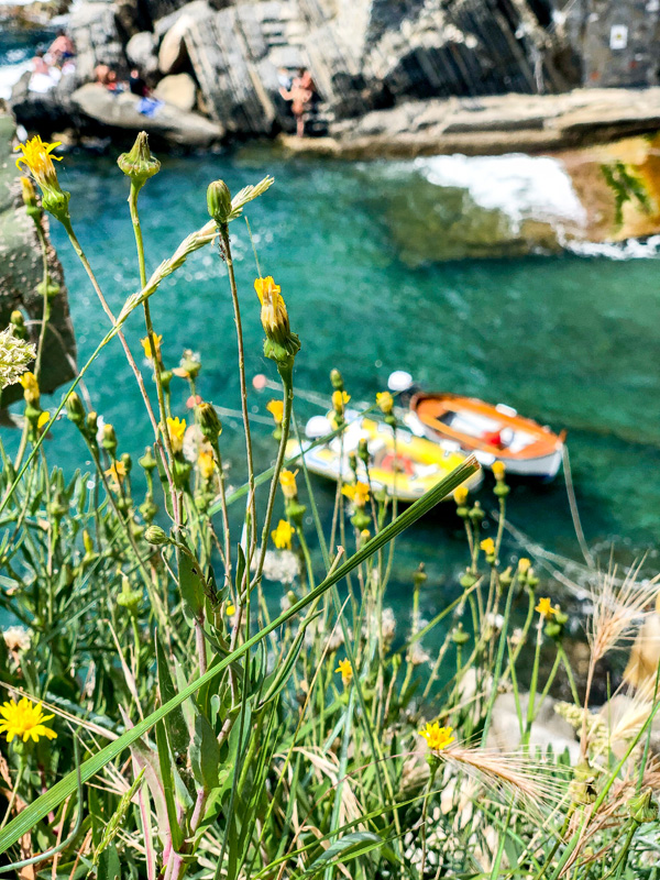 Visiting Riomaggiore Cinque Terre the views are stunning