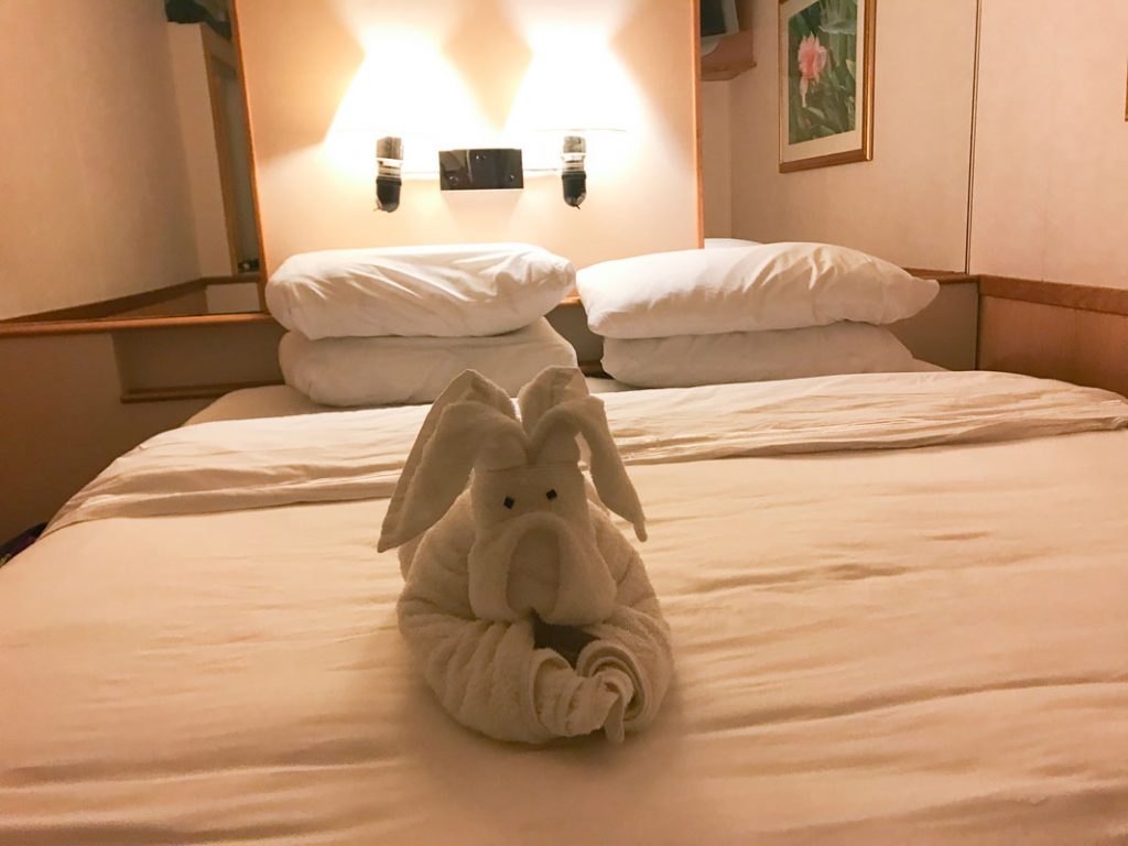 The stewards make towel animals to greet you each evening. 