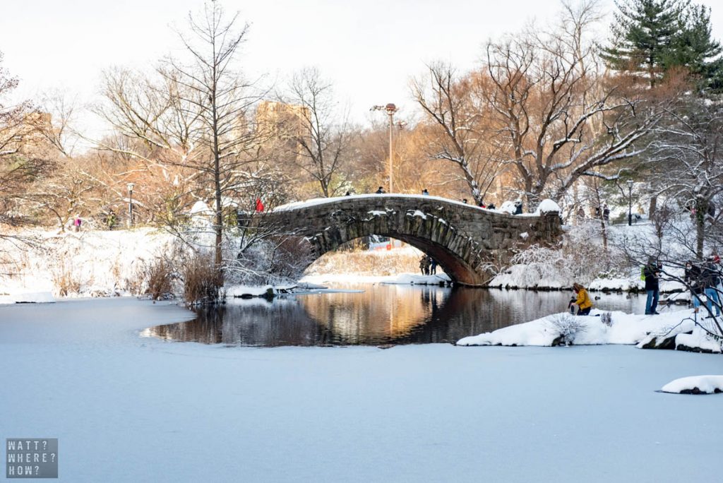 We all dream of a White Christmas in New York City that turns Central Park into a winter wonderland. 