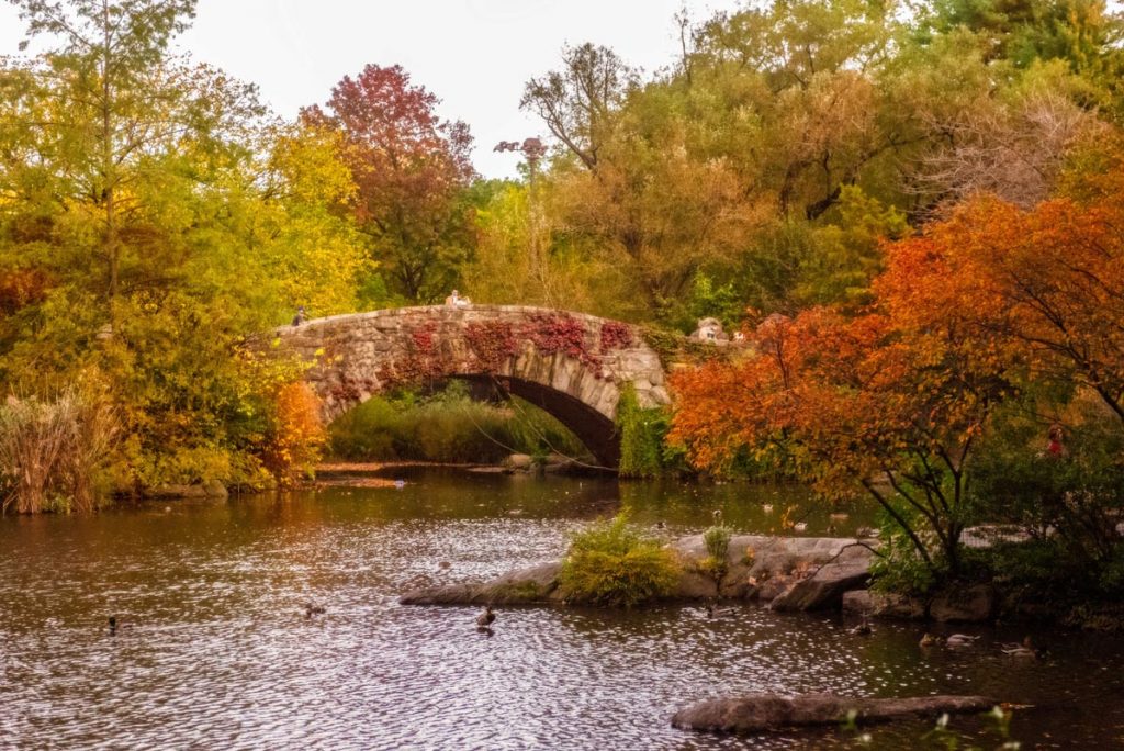The Gapstow Bridge in Central Park offers a picture perfect snapshot of fall in New York City. 