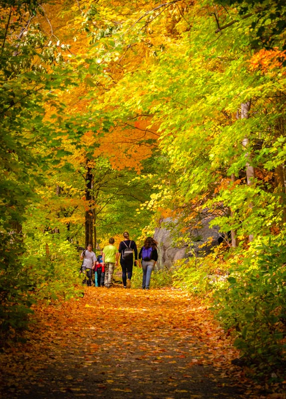 The hiking tracks around Cold Spring are the best place to see foliage during fall in New York City. 