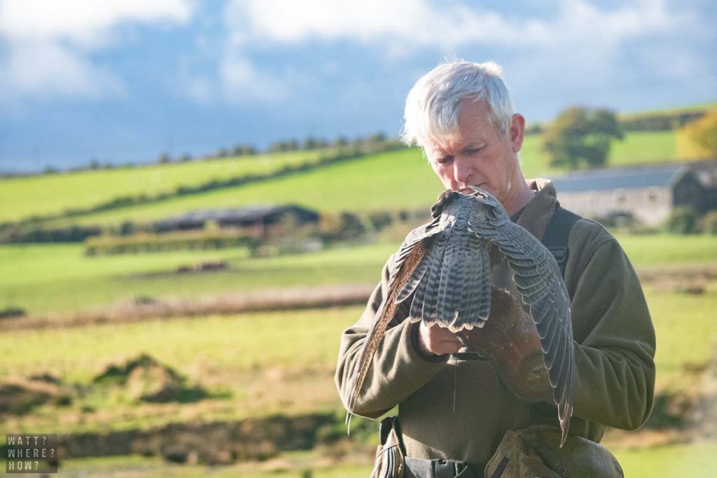 The Huntly Falconry Centre gives you hands on experiences with falcons and owls. 