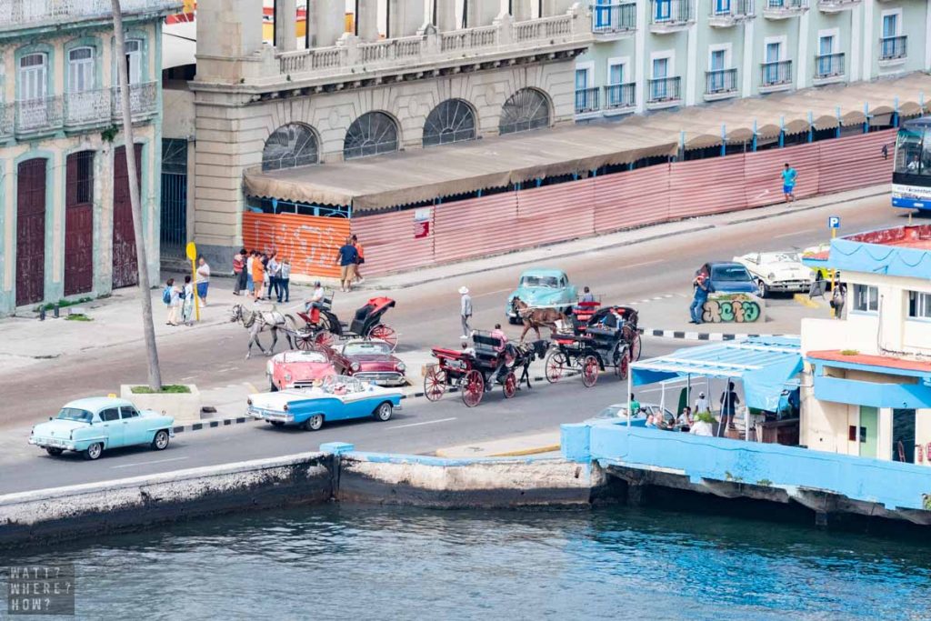 One day in Havana will generally start from the port, where most cruise ships land. It's a good place to start regardless, with its historic square and cathedral. 