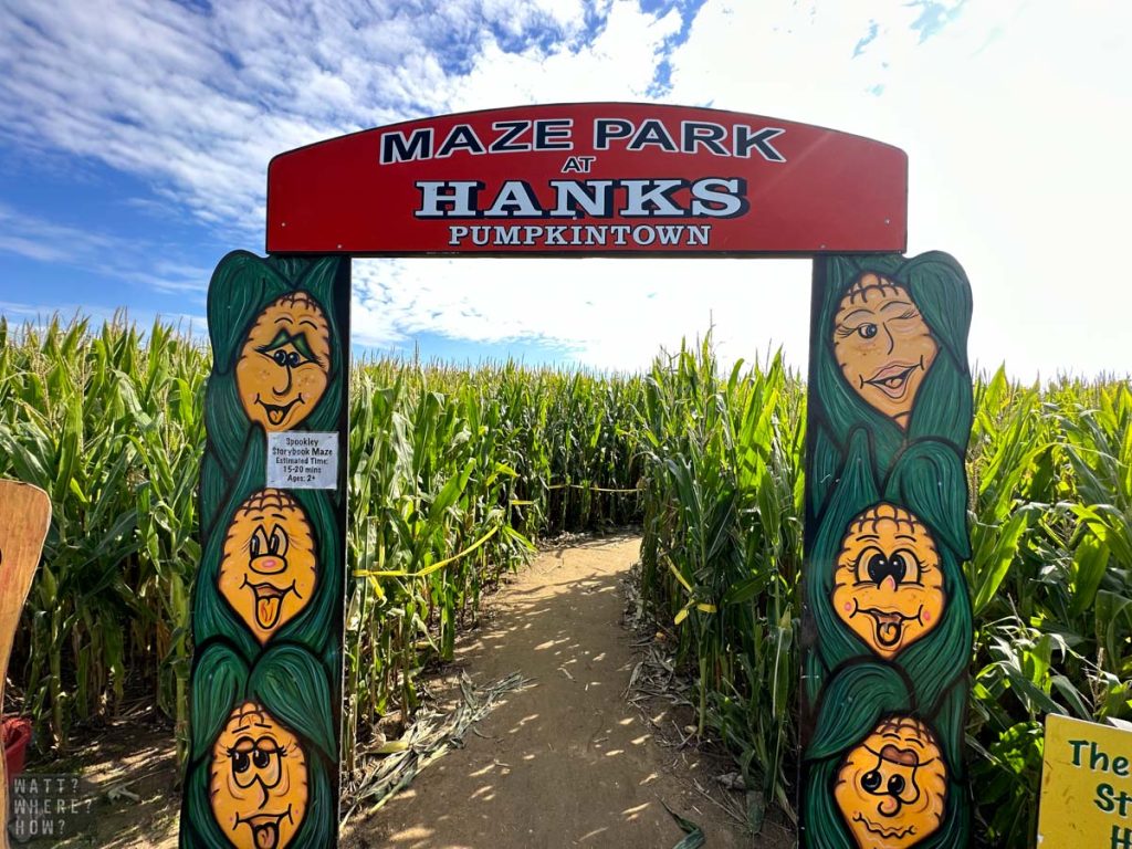 Hank's Pumpkintown is one of the best and closest options for corn mazes and apple picking near New York City